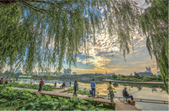 PA�콢����(�й�)�ٷ���վ