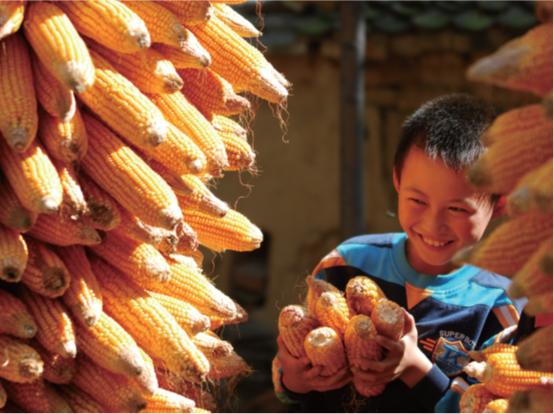 PA�콢����(�й�)�ٷ���վ