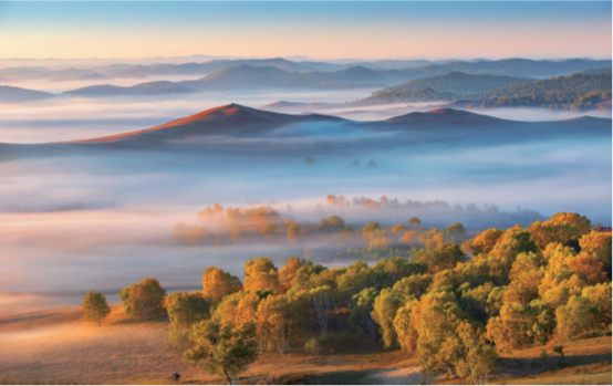 PA�콢����(�й�)�ٷ���վ